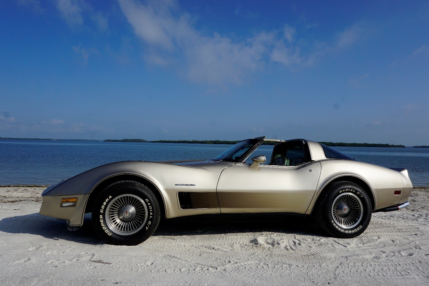 1982 C3 Corvette Crossfire Tuning Guide