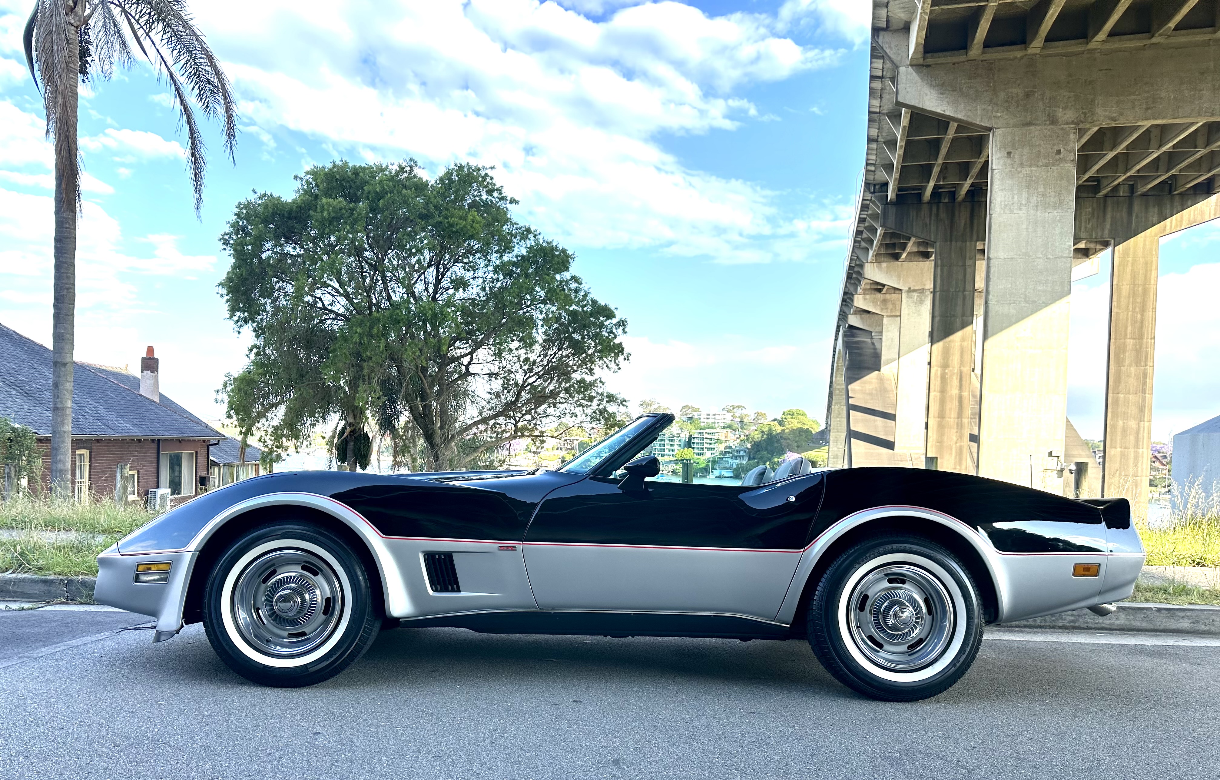 1981 Coupe Corvette